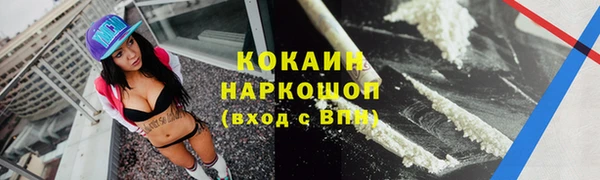 бошки Тында