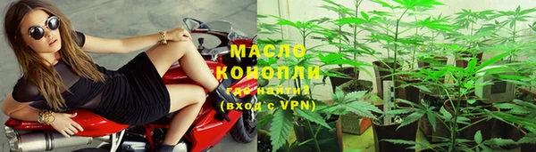 сатива Балахна