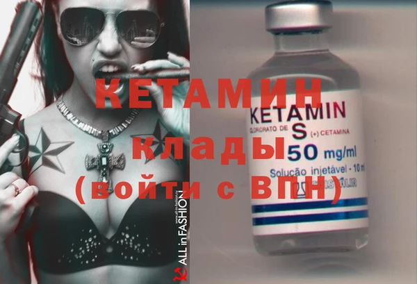 сатива Балахна