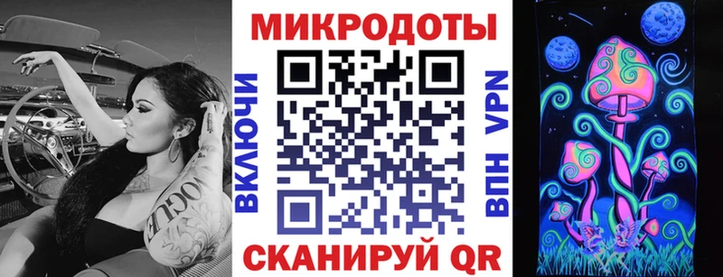 Псилоцибиновые грибы Cubensis  Новотитаровская 