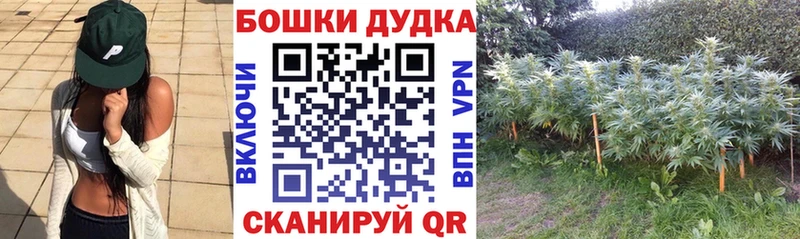 Шишки марихуана AK-47  Новотитаровская 